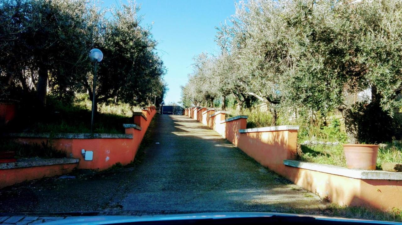 Locazione Turistica Dream House Marzia Roma Exterior foto